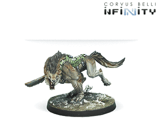 Antipode Assault Pack