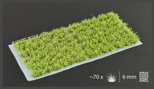 Green Shrubs