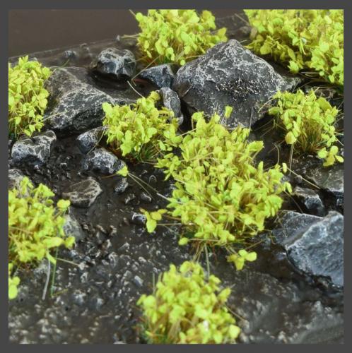 Green Shrubs