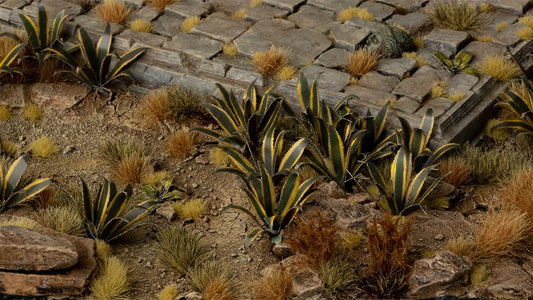 Agave